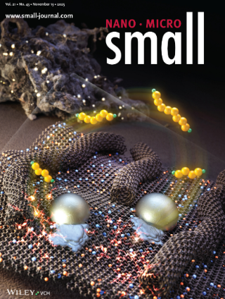 dfcf2ff4f64fdc17284ba6348574566d_1763367143_9097.png dfcf2ff4f64fdc17284ba6348574566d_1763367143_9097.png